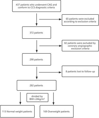 Prognostic impact of coronary microvascular dysfunction assessed by caIMR in overweight with chronic coronary syndrome patients